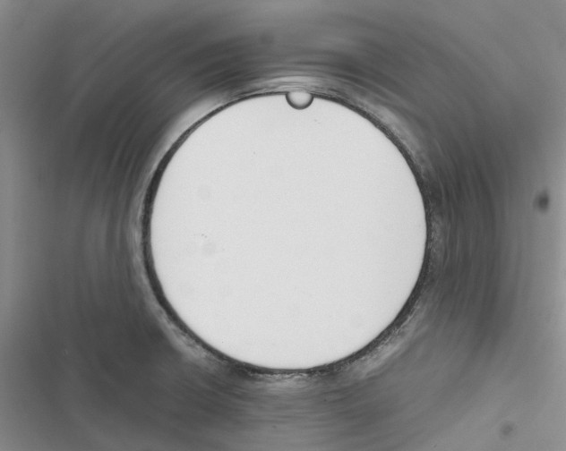 X0000116821426201001151155