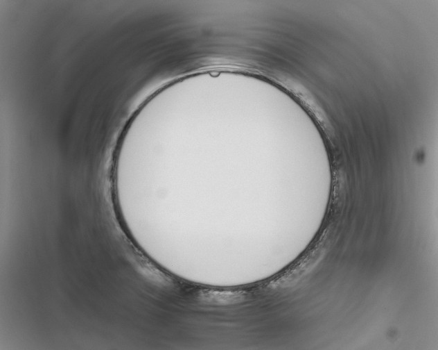 X0000116821427201001151155