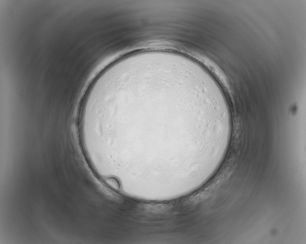 X0000116821429201001151155