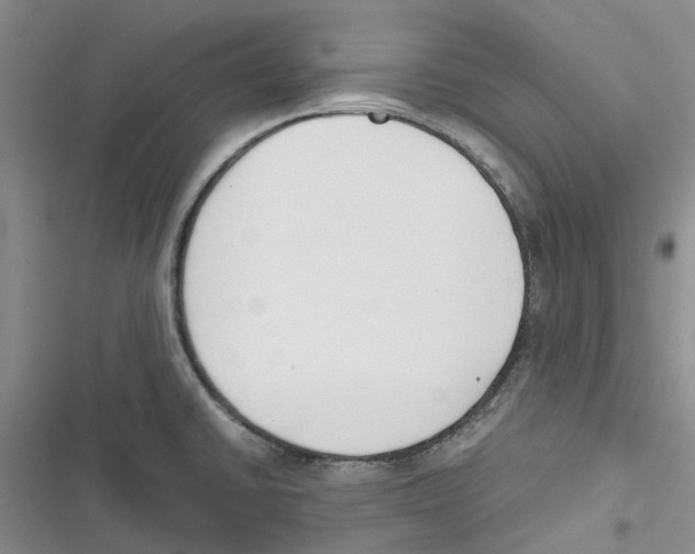 X0000116821430201001151155