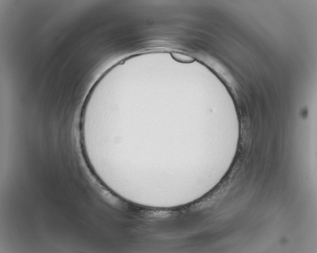 X0000116821431201001151155