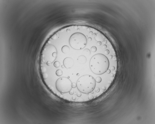 X0000116821432201001151155