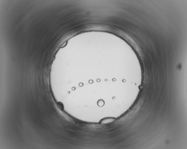 X0000116821433201001151155