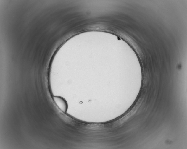 X0000116821434201001151155