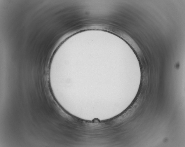 X0000116821436201001151155