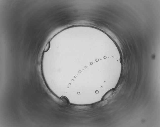 X0000116821437201001151155