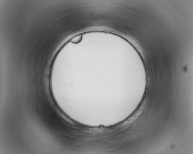 X0000116821438201001151155