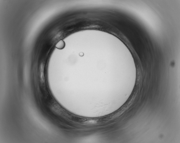 X0000116821439201001151155