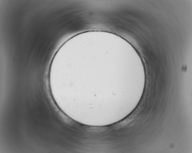 X0000116821440201001151155