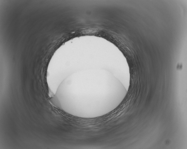 X0000116821441201001151155