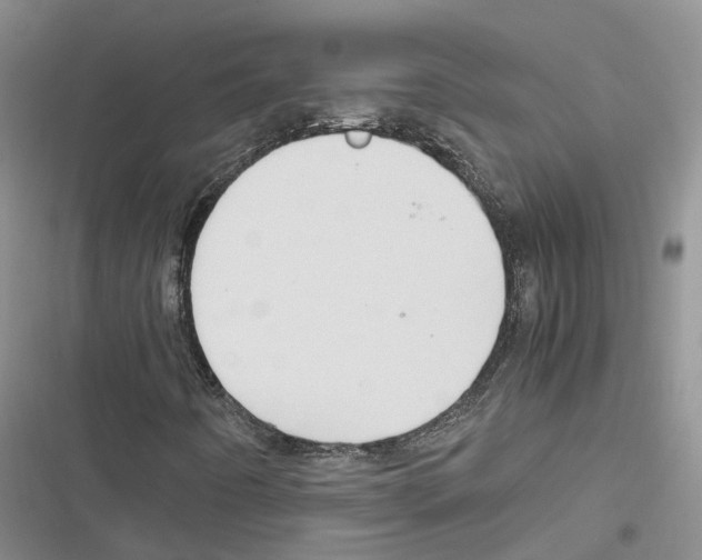 X0000116821442201001151155