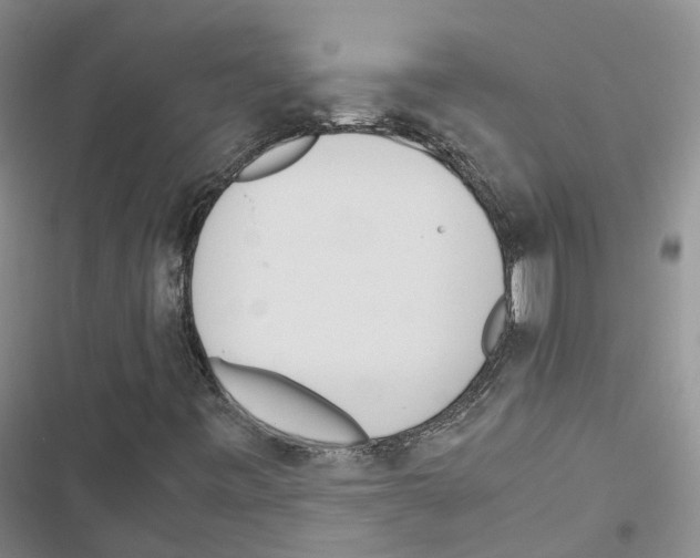 X0000116821443201001151155