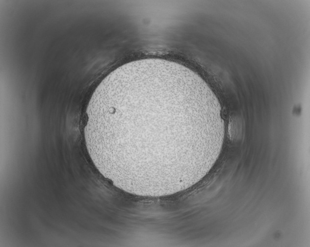 X0000116821444201001151155