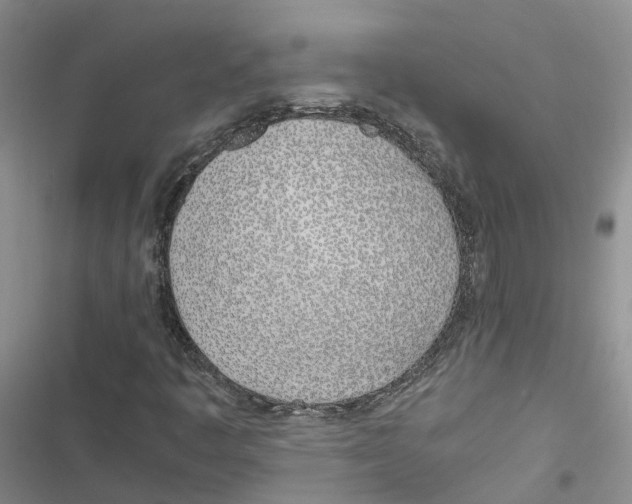 X0000116821445201001151155