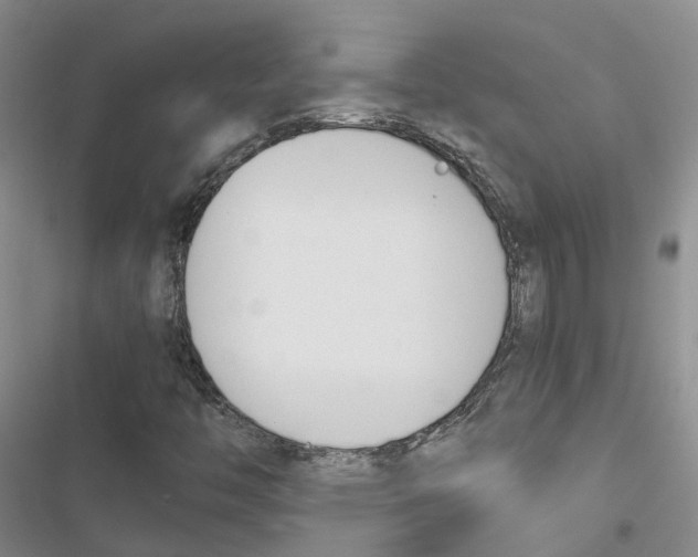 X0000116821446201001151155