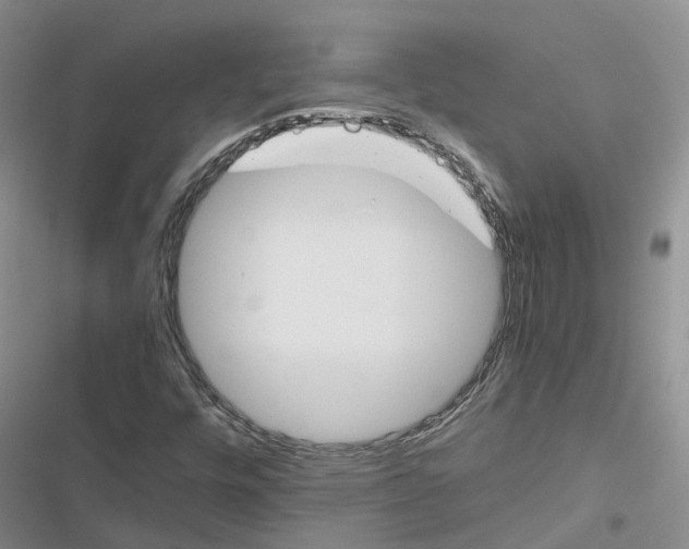 X0000116821448201001151155