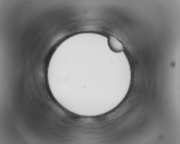 X0000116821450201001151155