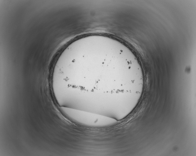 X0000116821452201001151155