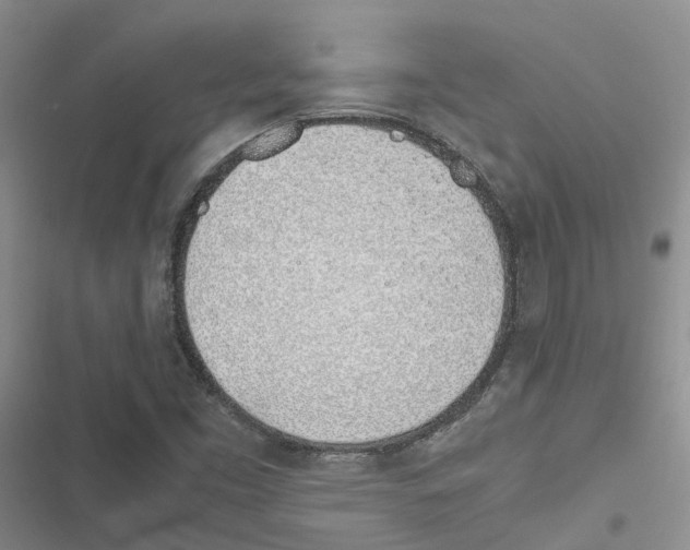 X0000116821453201001151155