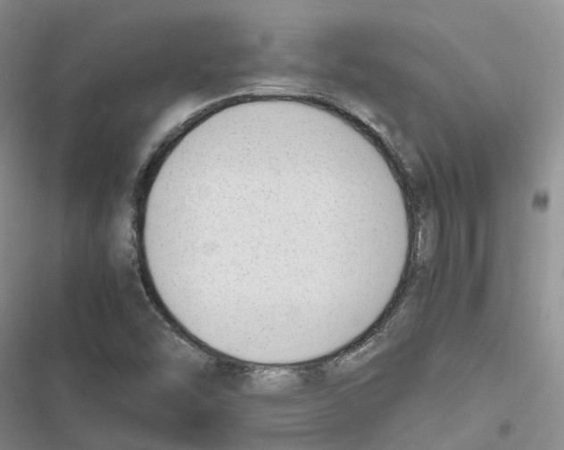 X0000116821454201001151154