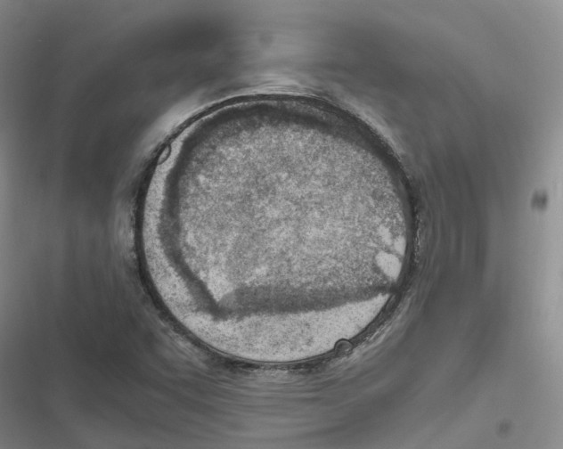 X0000116821455201001151154