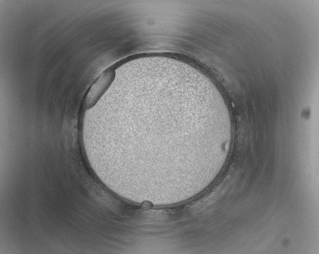 X0000116821457201001151154