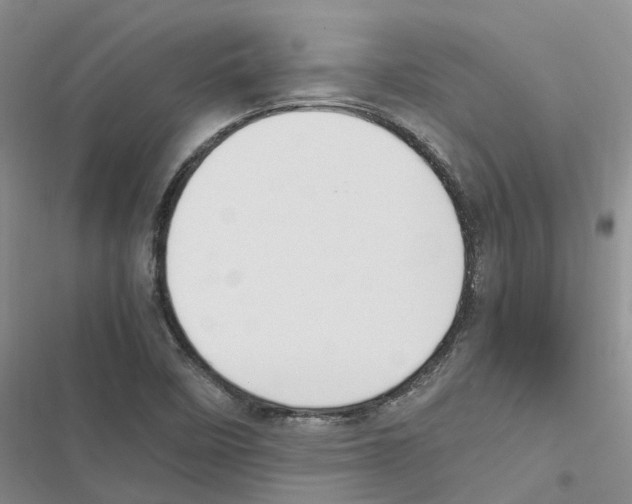 X0000116821458201001151154