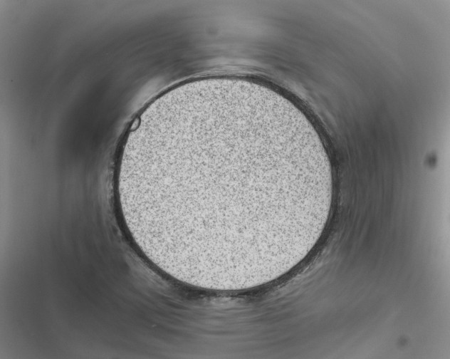 X0000116821459201001151154