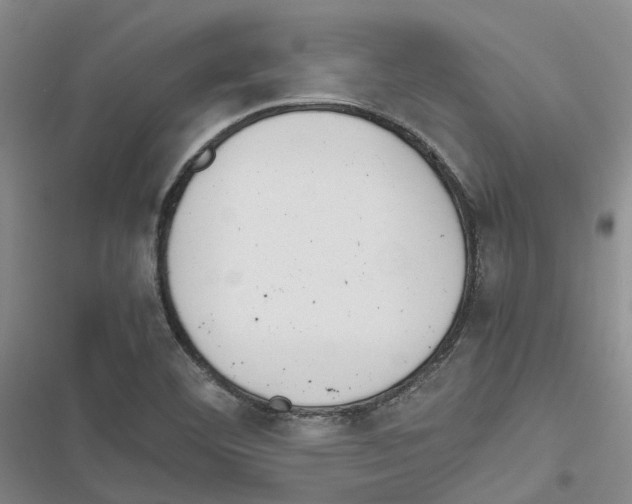 X0000116821460201001151154