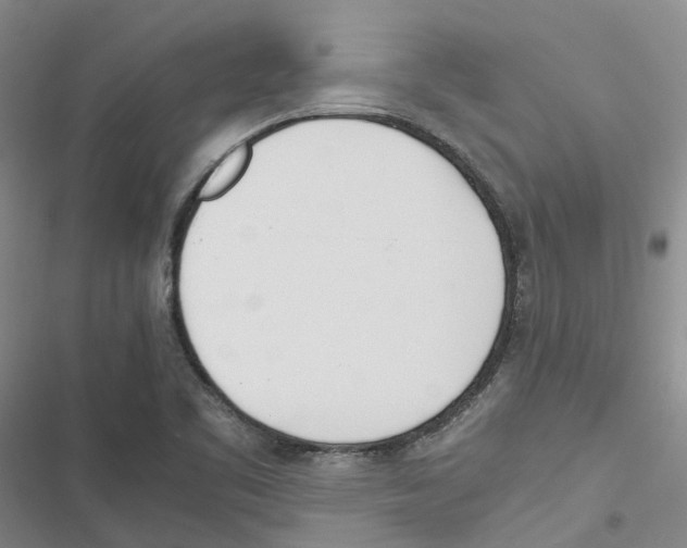 X0000116821461201001151154