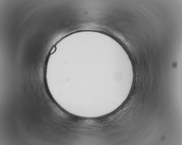 X0000116821463201001151154