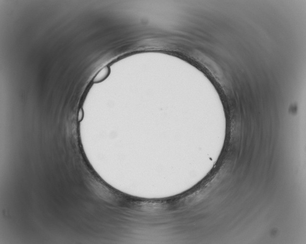 X0000116821465201001151154