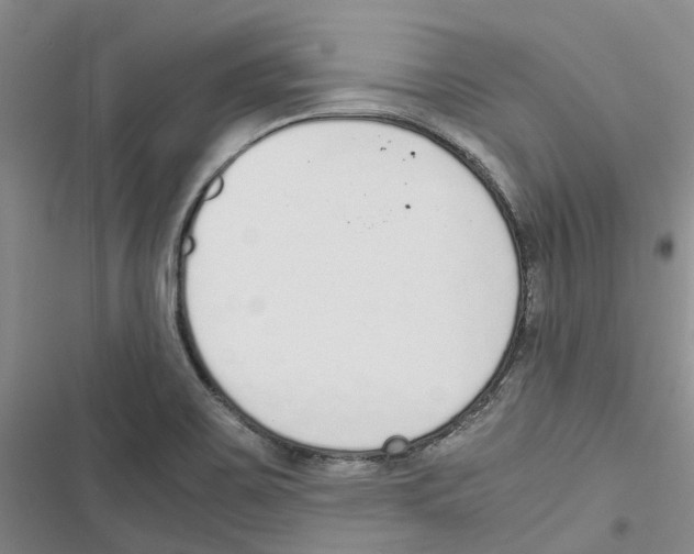 X0000116821467201001151154