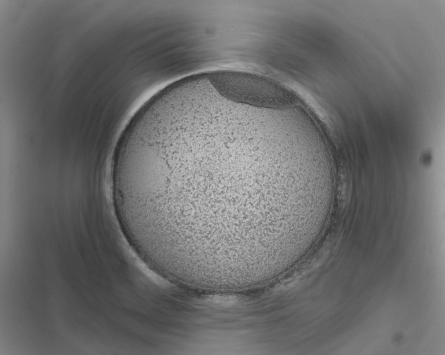 X0000116821468201001151154