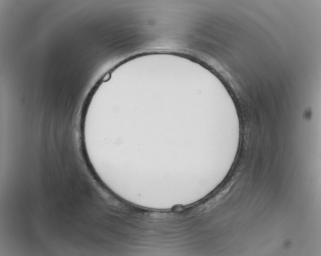 X0000116821469201001151154