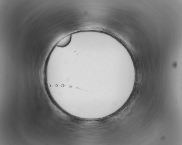 X0000116821471201001151154