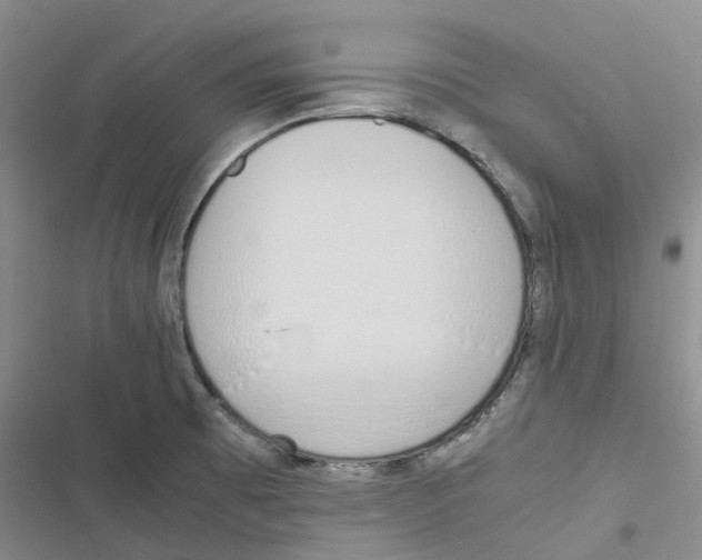 X0000116821473201001151154