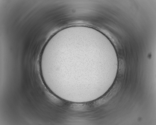 X0000116821474201001151154