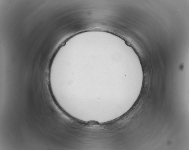 X0000116821476201001151154