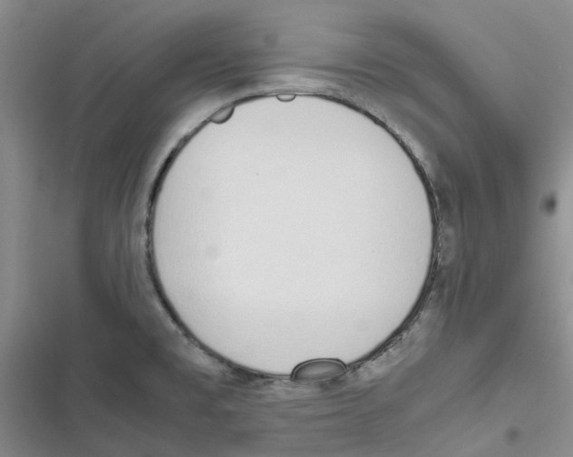 X0000116821477201001151154