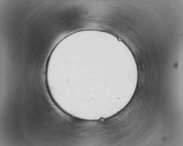 X0000116821479201001151154