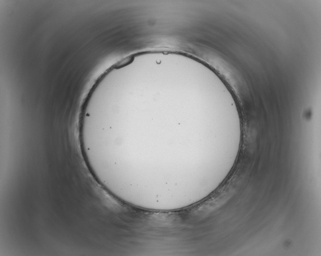 X0000116821480201001151154