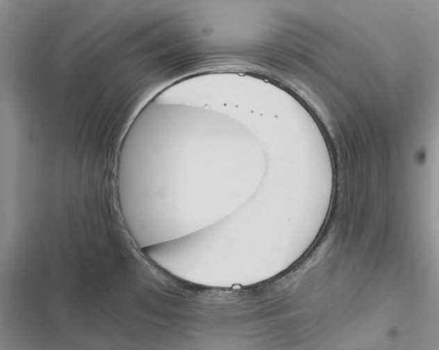 X0000116821481201001151154