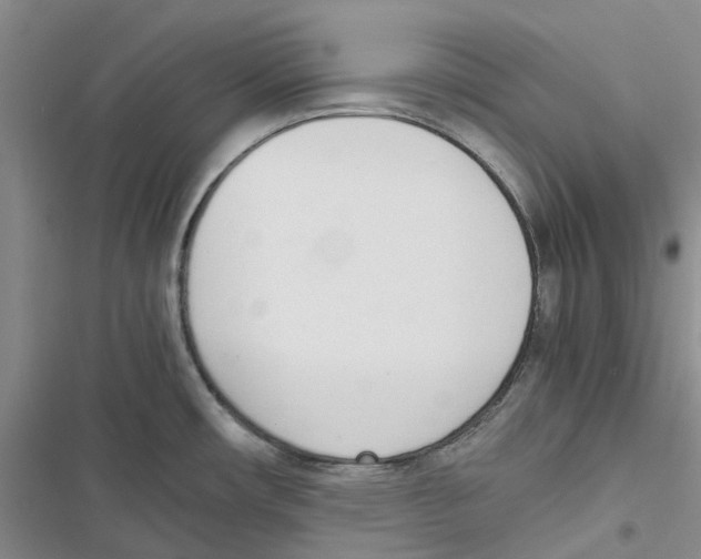 X0000116821482201001151154