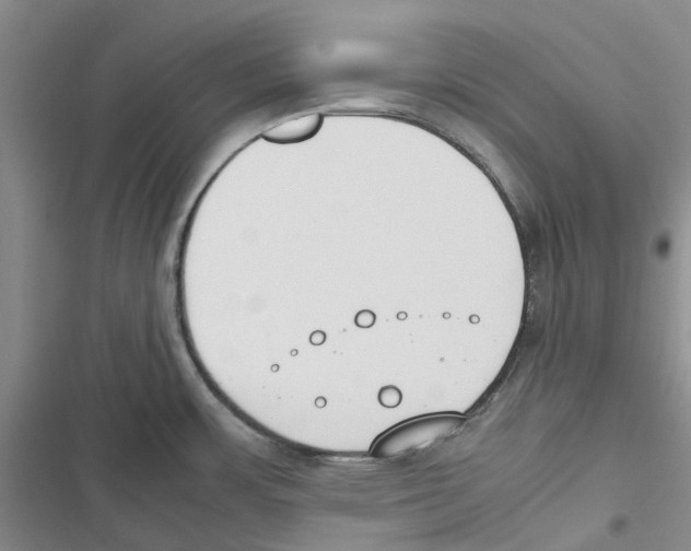 X0000116821483201001151154