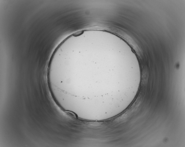 X0000116821484201001151154