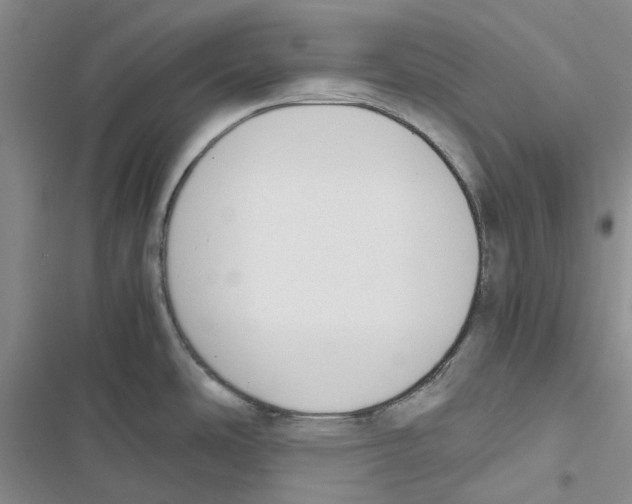 X0000116821486201001151154