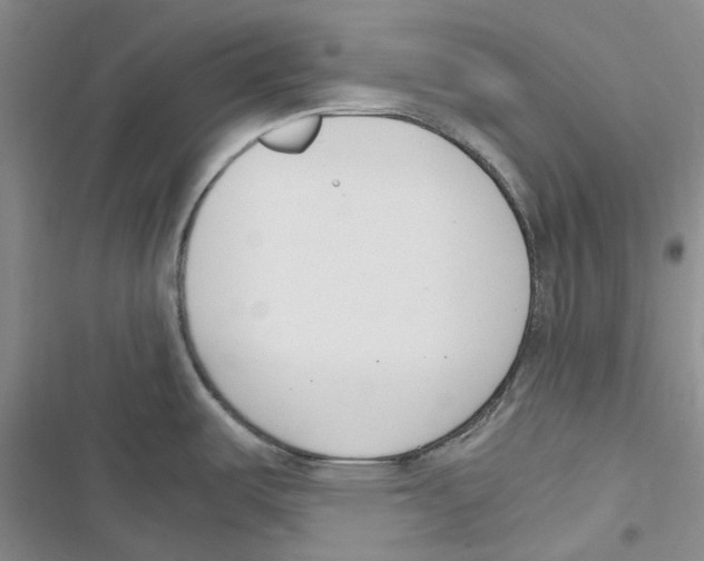 X0000116821487201001151154