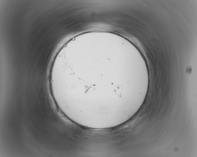 X0000116821488201001151154