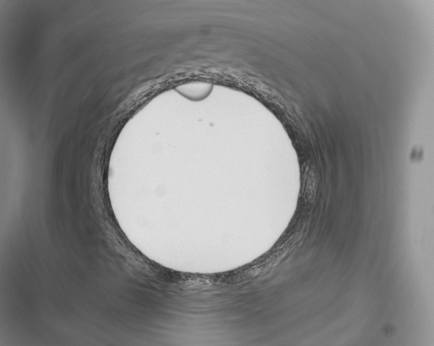 X0000116821489201001151153